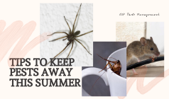 5 Tips To Keep Pests Away This Summer