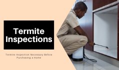 Why Is Termite Inspection Necessary Before Purchasing a Home?