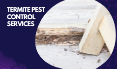 Tips For Landlords To Provide Termite Protection To Their Tenants
