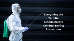 What the Pest Exterminators Do At The Time of Termite Inspections?