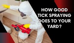 How and When Should Your Yard Be Sprayed For Ticks Removal?