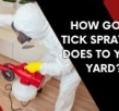 How and When Should Your Yard Be Sprayed For Ticks Removal?