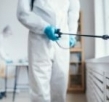 How Does Ongoing Pest Control Service in North Shore Retain Your Peace of Mind?